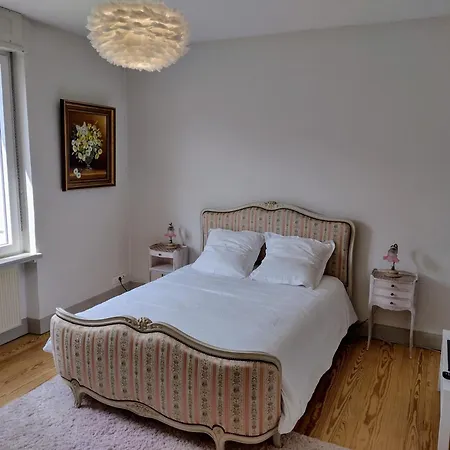 Madame Du Barry - Proche Gare, Zenith Et Chu Apartment *
