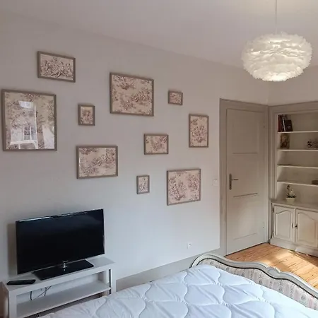 Madame Du Barry - Proche Gare, Zenith Et Chu Apartman